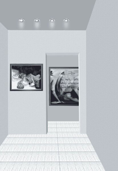 Paulmann Premium Einbauleuchten max. 50W 12V GU5,3 51mm Chrom/Alu Zink