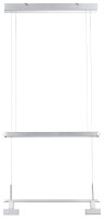 Paulmann Living CombiSystems NanoLED Pendell max.4x5W LED...