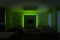 Paulmann Function MaxLED RGB Stripe 1m 13,5W 24V Silber