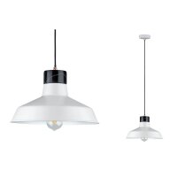Paulmann Neordic Disa Pendelleuchte max.1x20W E27...