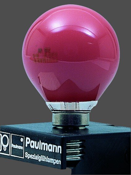 Paulmann Glühlampenhalter Schwarz E27